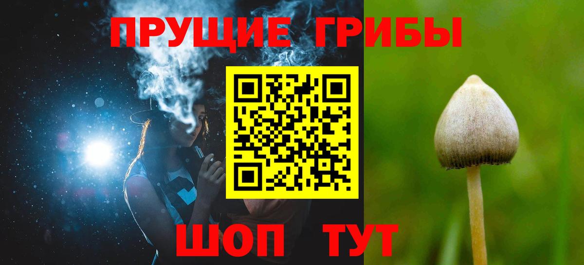 Галлюциногенные грибы Cubensis  Вход с VPN  Дзержинск  Псилоцибиновые грибы GOLDEN TEACHER 